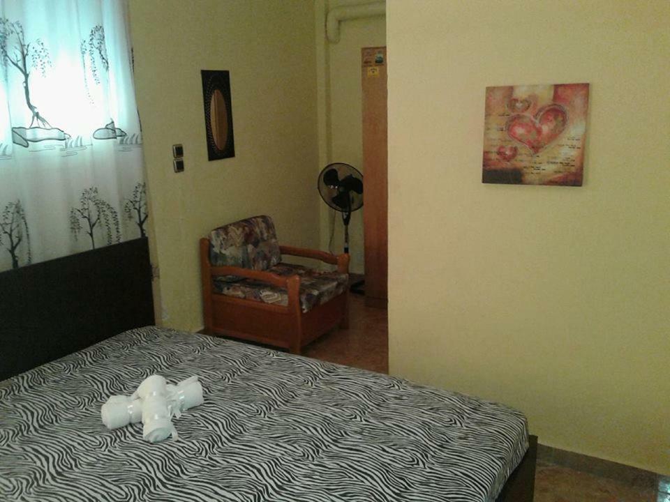 Gatos Apartment Skála Marión Zewnętrze zdjęcie
